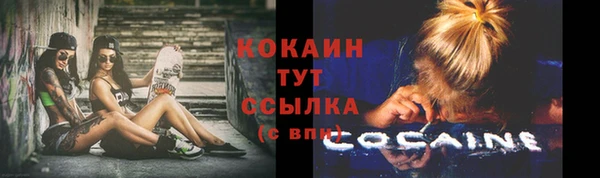 МДПВ Нефтегорск