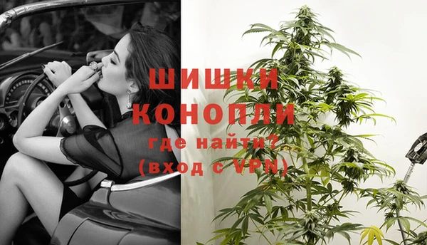ГАЛЛЮЦИНОГЕННЫЕ ГРИБЫ Нея