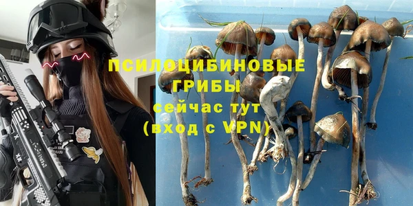 ГАЛЛЮЦИНОГЕННЫЕ ГРИБЫ Нея