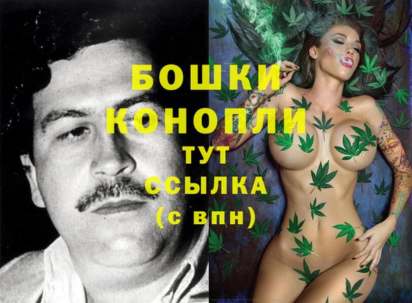 ГАЛЛЮЦИНОГЕННЫЕ ГРИБЫ Нея