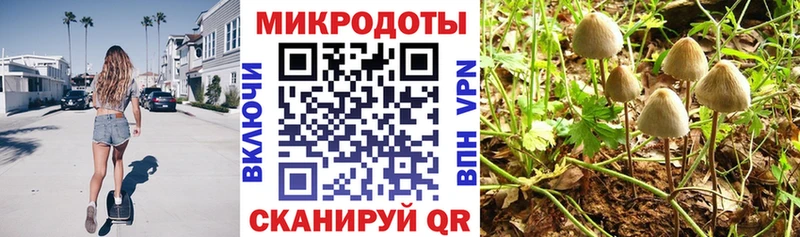 hydra зеркало  Устюжна  Псилоцибиновые грибы прущие грибы 